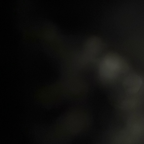 Meet your Posher, Rosa - Picture 1 of 1